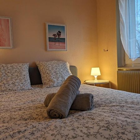 Le Balois - Appartement 2 Chambres, Salon, Cuisine Equipee, Parking Et Wifi Gratuit Mulhouse Exterior foto